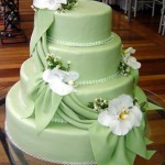 düğün-pastası (8)
