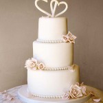 şık-düğün-pastaları (9)
